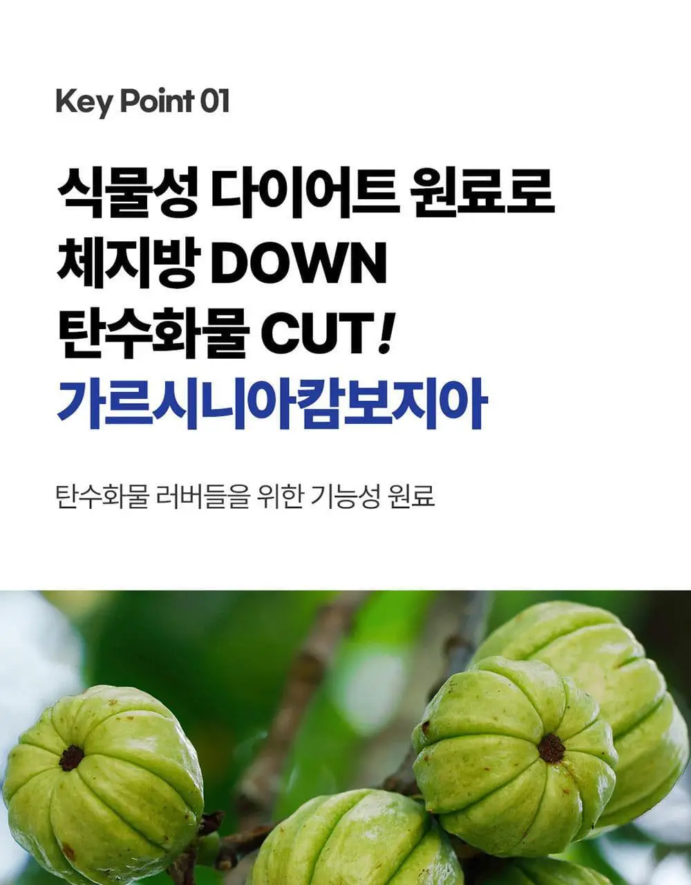 [4일 추가증정] 그린몬스터 다이어트 체지방쏙/쾌변쑥 기획세트 상세페이지 10